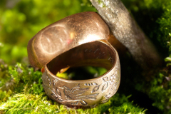 Abshire_rings-green-bk-ground