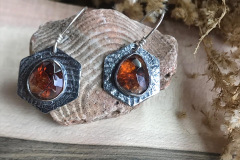 Brachiopod-Garnet
