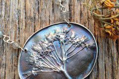 Butterfly-weed