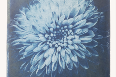 My-Heart-Is-Waiting-Cyanotype